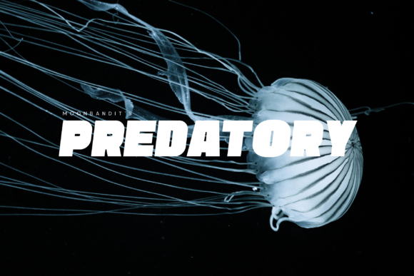 Predatory: A Display Font Built for Campaign Impact
